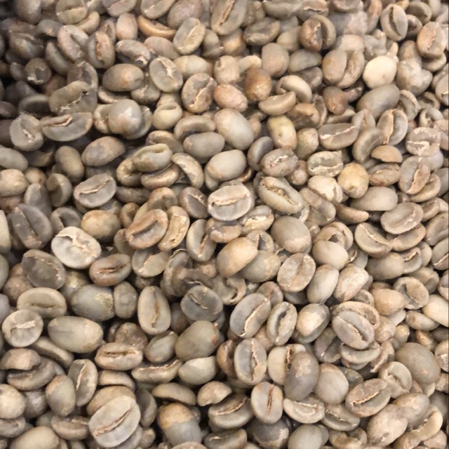 

GREEN BEAN KINTAMANI FULL WASH 1Kg