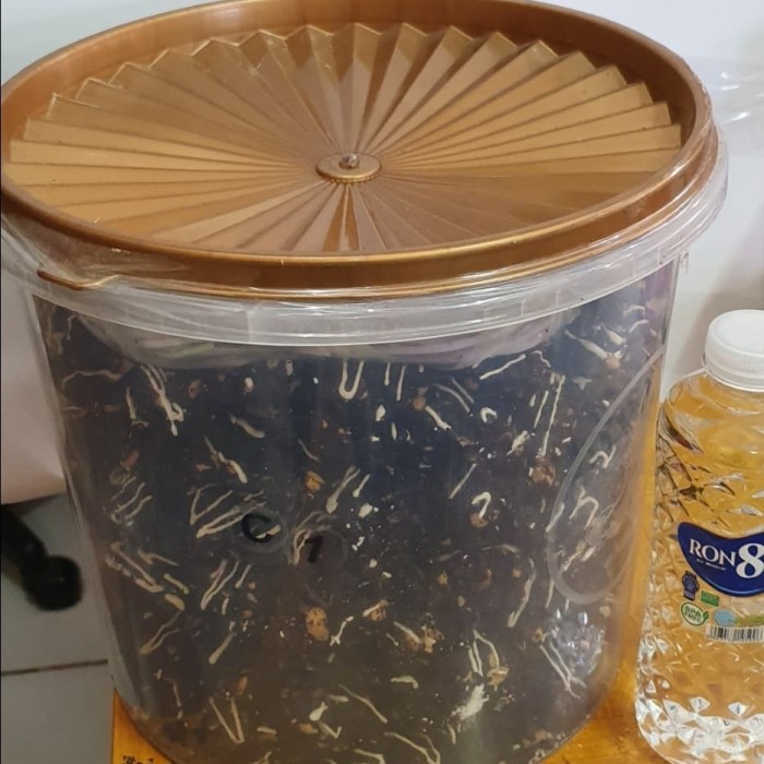 

Coklat Lebaran - Kue Kacang Coklat (Paket Lebaran / 3 Kg )