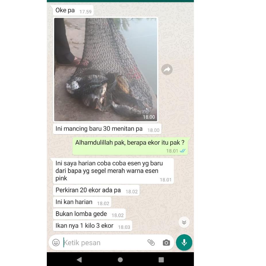 Keluaran Terbaru.. Essen Ikan Mas Totalan | Esen Raja Menak