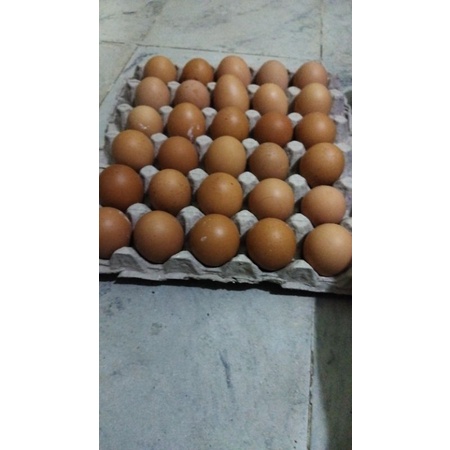 

Telur Ayam Negri