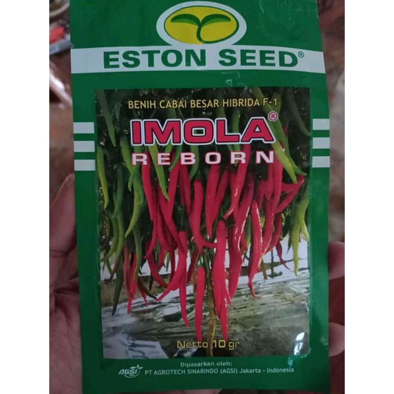 Benih / bibit cabe  Imola reborn F1 10 gram