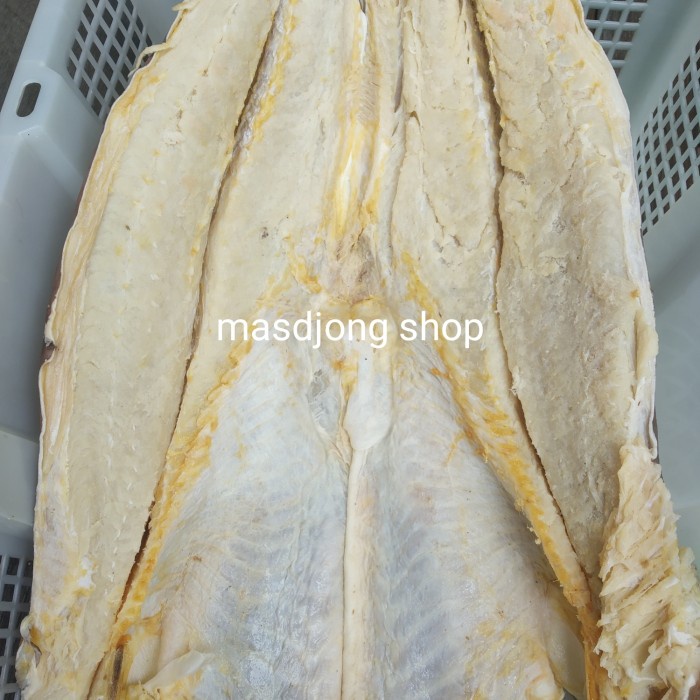 

Q121Sa Ikan Asin Jambal Roti 100% Asli Grade A (500Gr) D51qs44