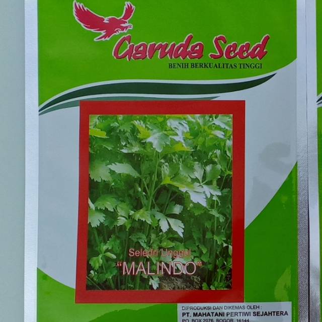 Benih seledri MALINDO 5 gram daun sup daun sop dari garuda seed