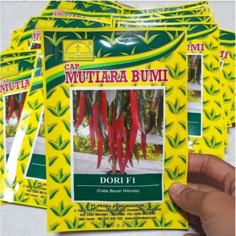 benih bibit cabai dori f1 10gram cabe besar hibrida mutiara bumi