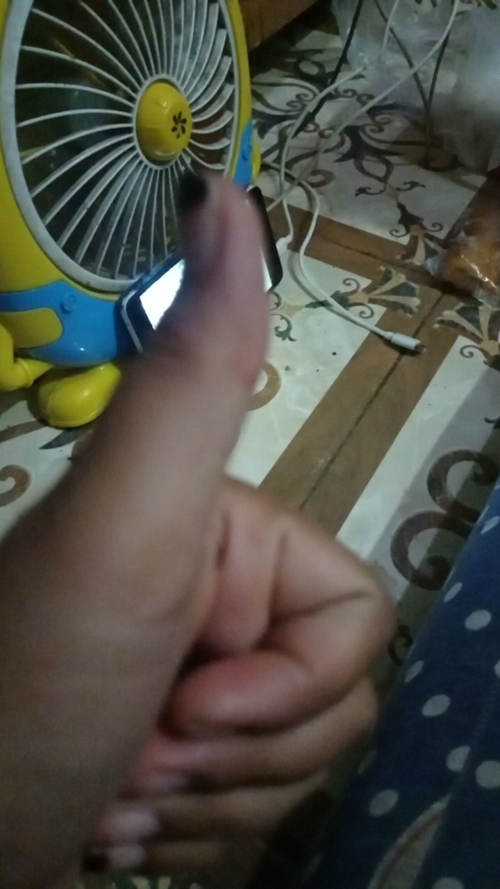 Termos Merek Lion Star Solaris 50 H Isi 2 Liter