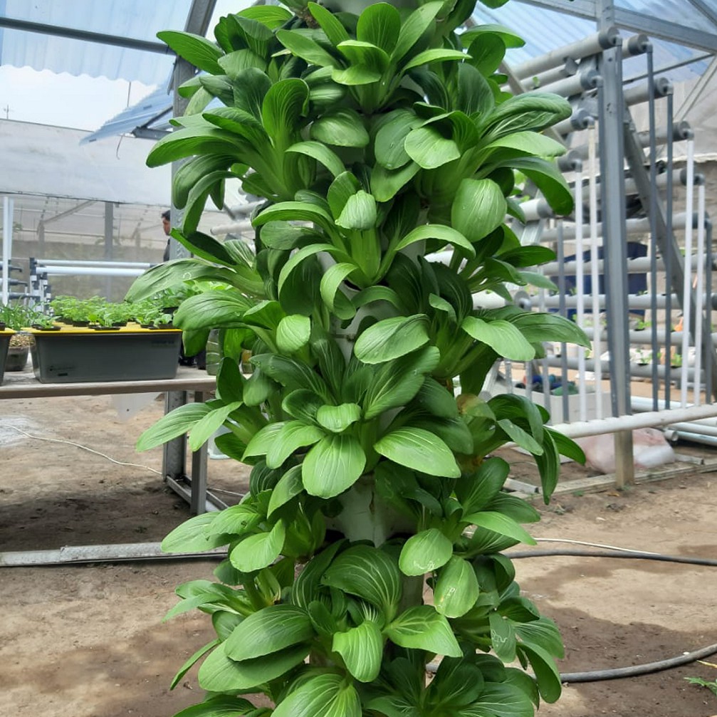 Pipa Growing Tower Hidroponik 40Lubang PG SBY