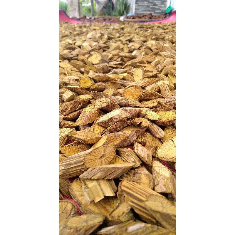 

FREE ONGKIR BAJAKAH AKAR KUNING "PROMO 1Kg