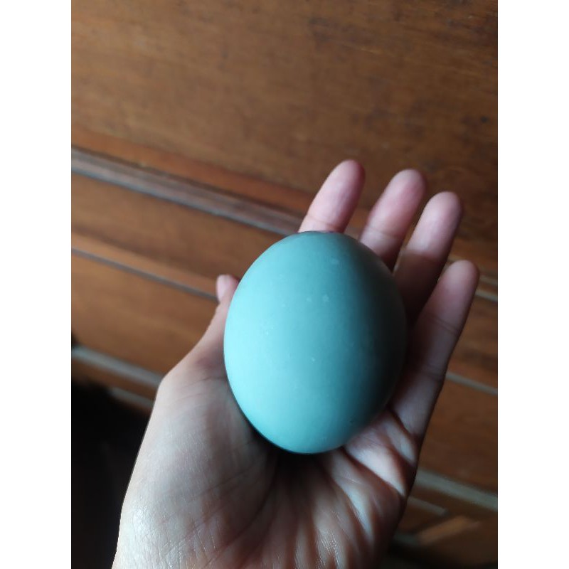 

Telor asin matang homemade