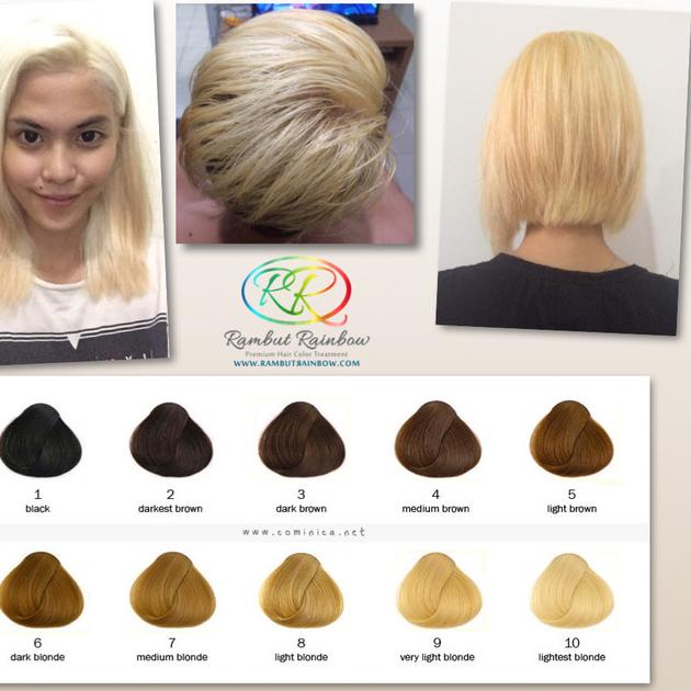 ♤ Wella Blondor + Developer 9% - bleaching rambut ❂