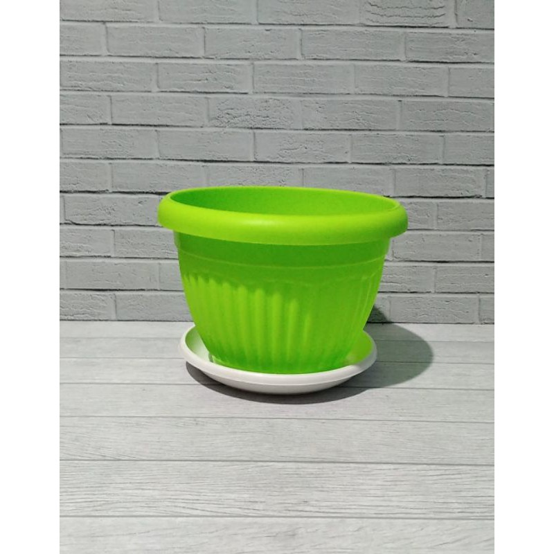 POT TANAMAN WARNA & TATAKAN POT PUTIH