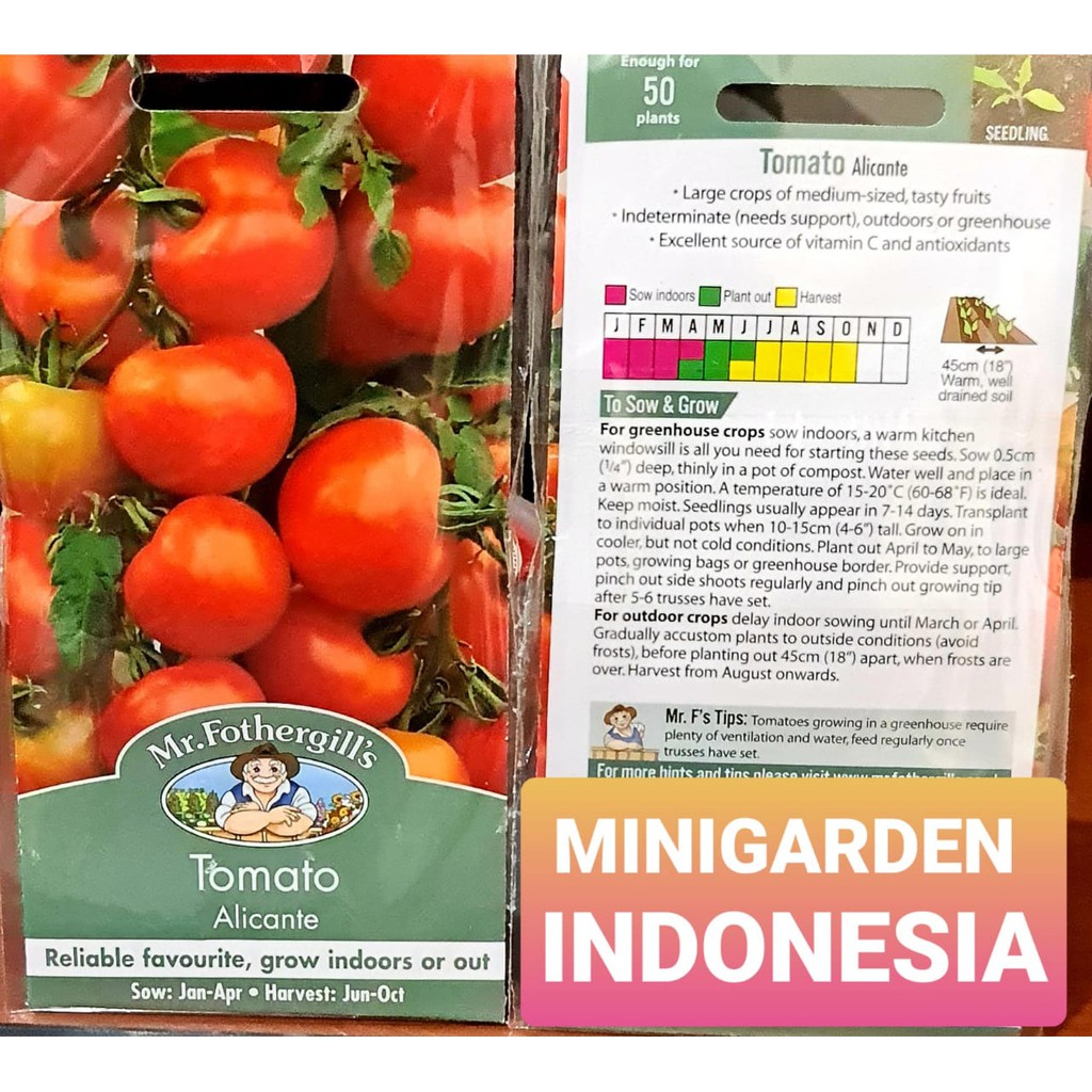 Benih TOMAT MERAH ALICANTE PACK 75 BIJI F1 Mr. Fothergills Bibit tanaman Sayuran / buah red tomato