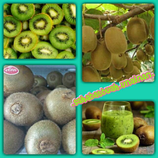 

Kiwi#green kiwi#buah#vitamin C