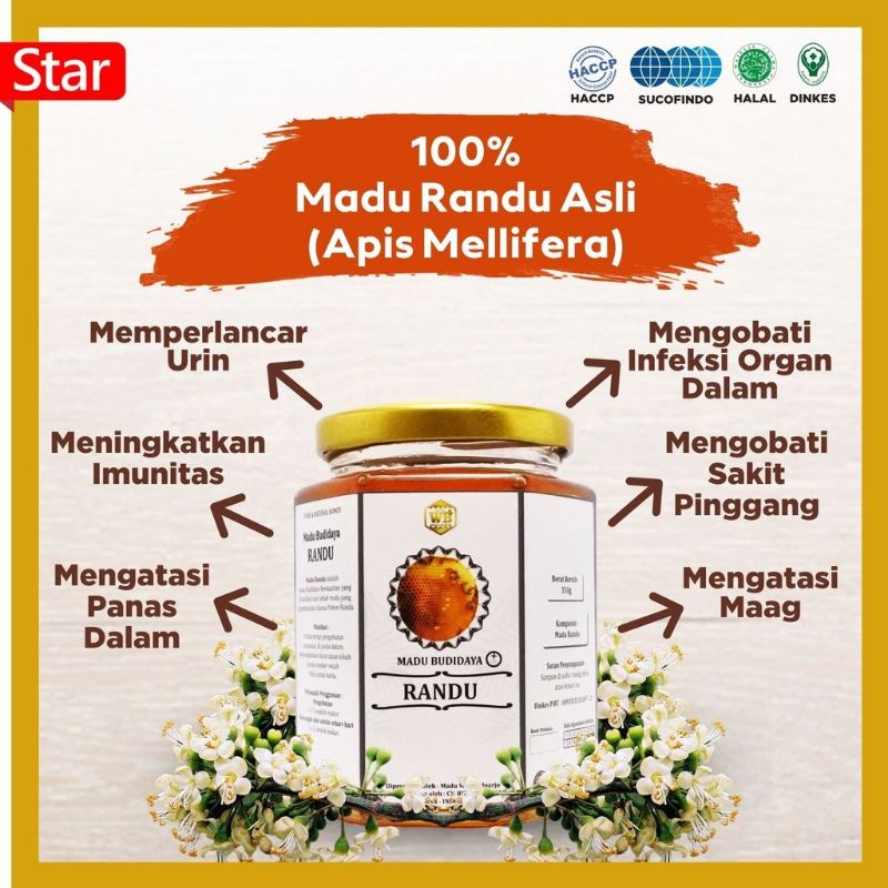 

Madu Randu / Lebah Apis Melifera - Garansi Murni & Asli 100% - Wild Bee - kemasan try kit