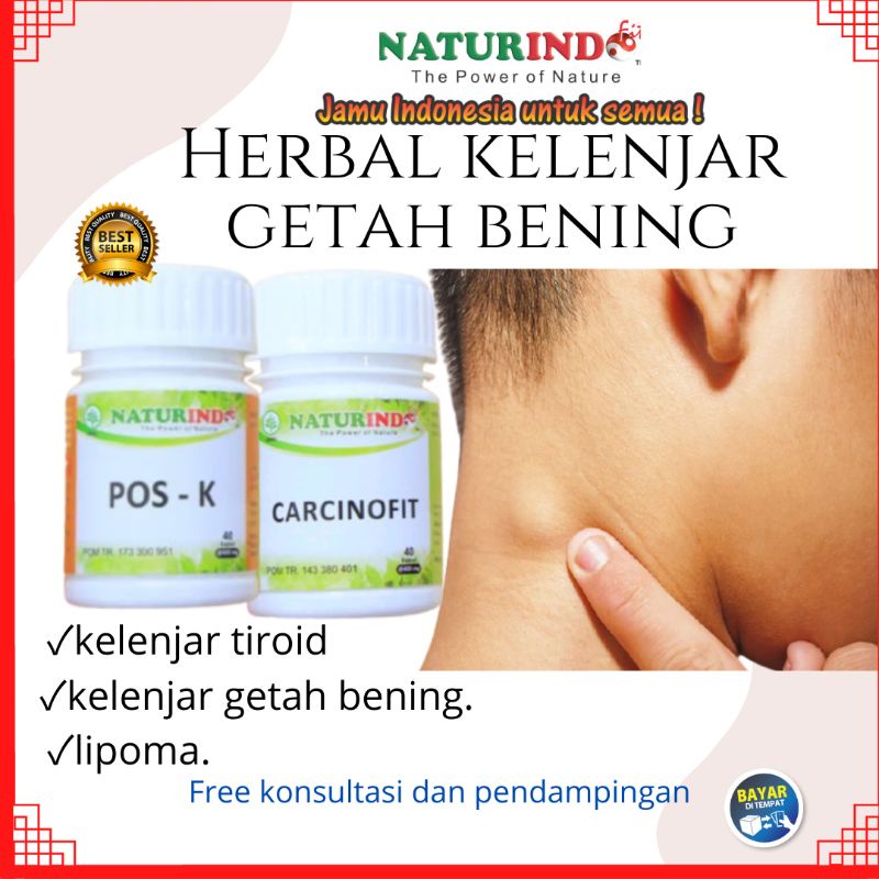 Jual Obat Kelenjar Getah Bening Di Leher Obat Kelenjar Getah Bening Kelenjar Getah Bening Obat