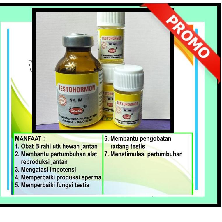 Harga TERMURAAH.. TESTOHORMON JANTAN TESTOHORMON BURUNG KELINCI TESTOHORMON UNTUK HEWAN TESTOHORMON 