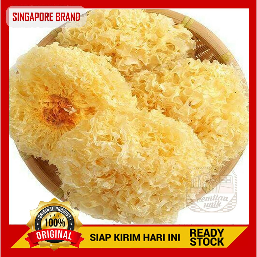 

JAMUR ES | JAMUR PUTIH | JAMUR SALJU | BOKNI | WHITE FUN obat herbal kolesterol perawatan imun tubuh