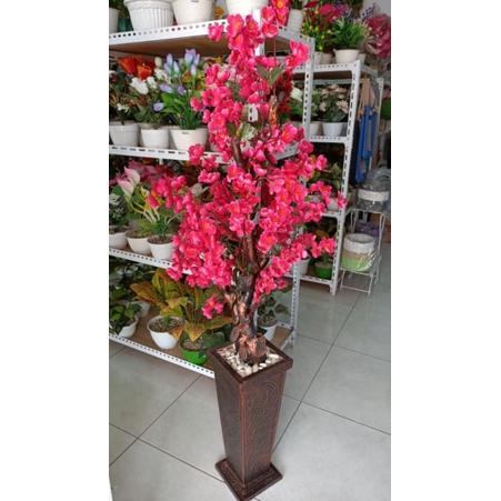 BUNGA SAKURA/POHON SAKURA+POT KAYU