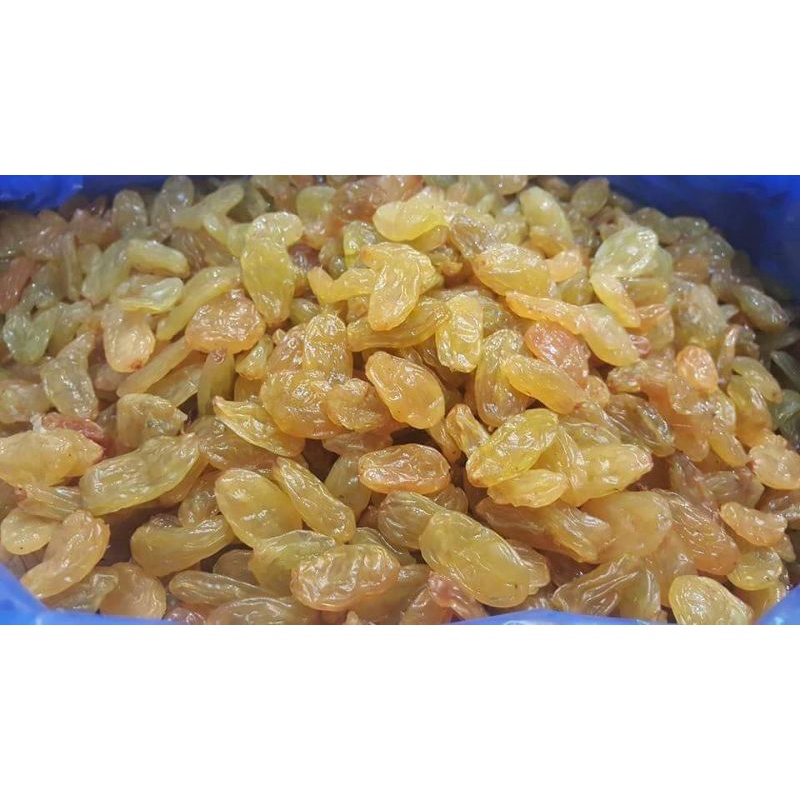 

kismis golden raisin 1kg/kismis asem manis/kismis arab/oleh oleh haji dan umroh expd 2023