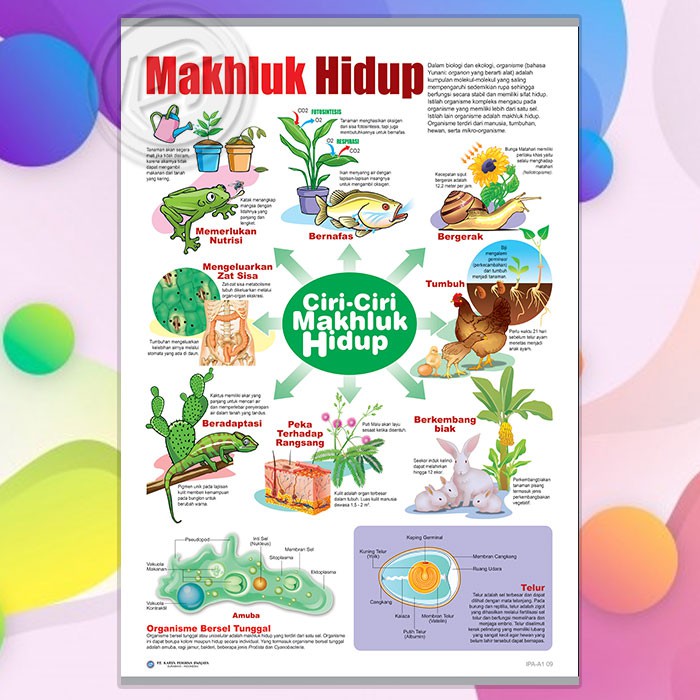 Jual Poster IPA Makhluk-hidup | Shopee Indonesia