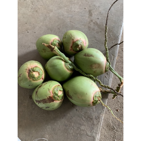 

kotak Ijo asli