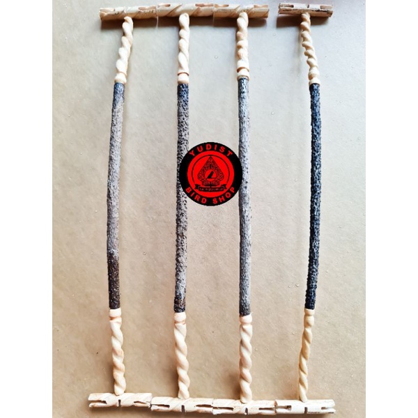 PLANGKRINGAN PLECI SANGKAR BULAT