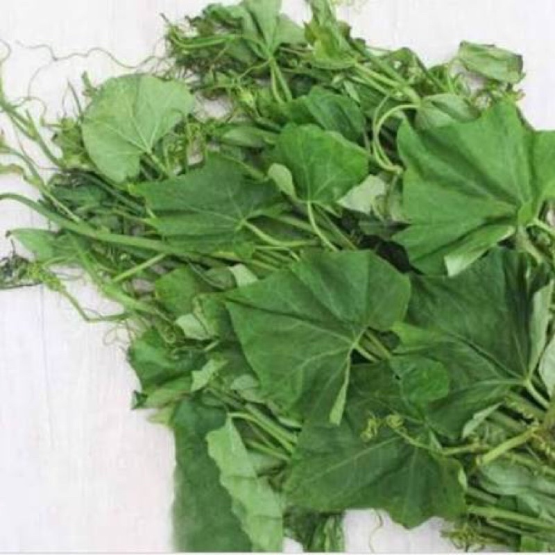 

Daun Labu / Pucuk Labu per ikat