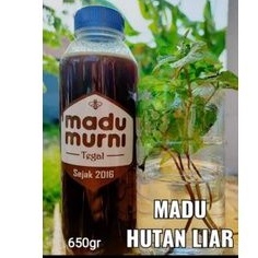 

MADU MURNI HUTAN / LIAR 650gram