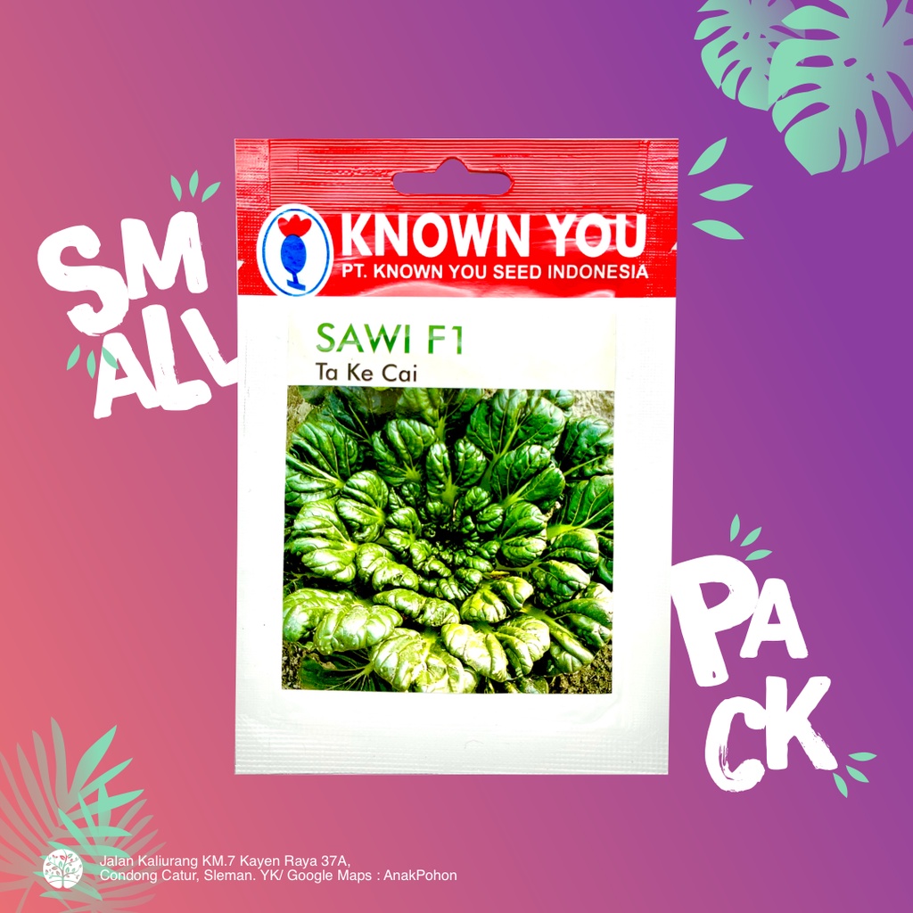 (1 PACK) Benih Sawi Pagoda F1 Ta Ke Cai - Known You Seed KYS - 5 GRAM