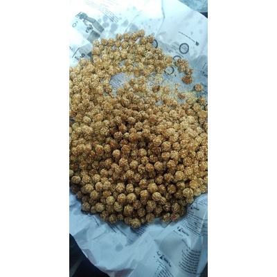 

keciput