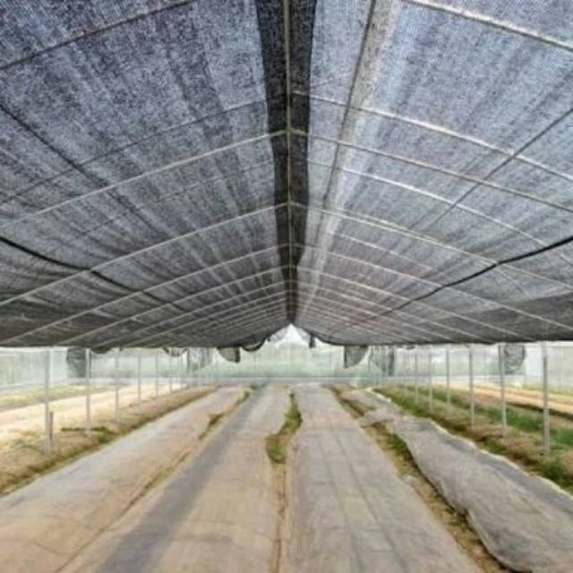 Paranet 75 persen lebar 1.8 meter