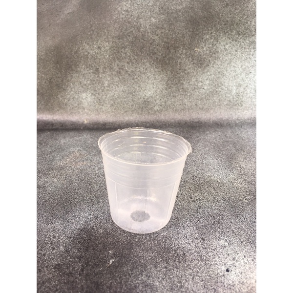 Soft Pot Seedling Anggrek 1.5 Inch(5cm)