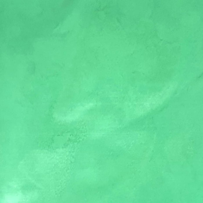 

Natural Mica Powder 10G/Pewarna Mika Bubuk/Green Tosca