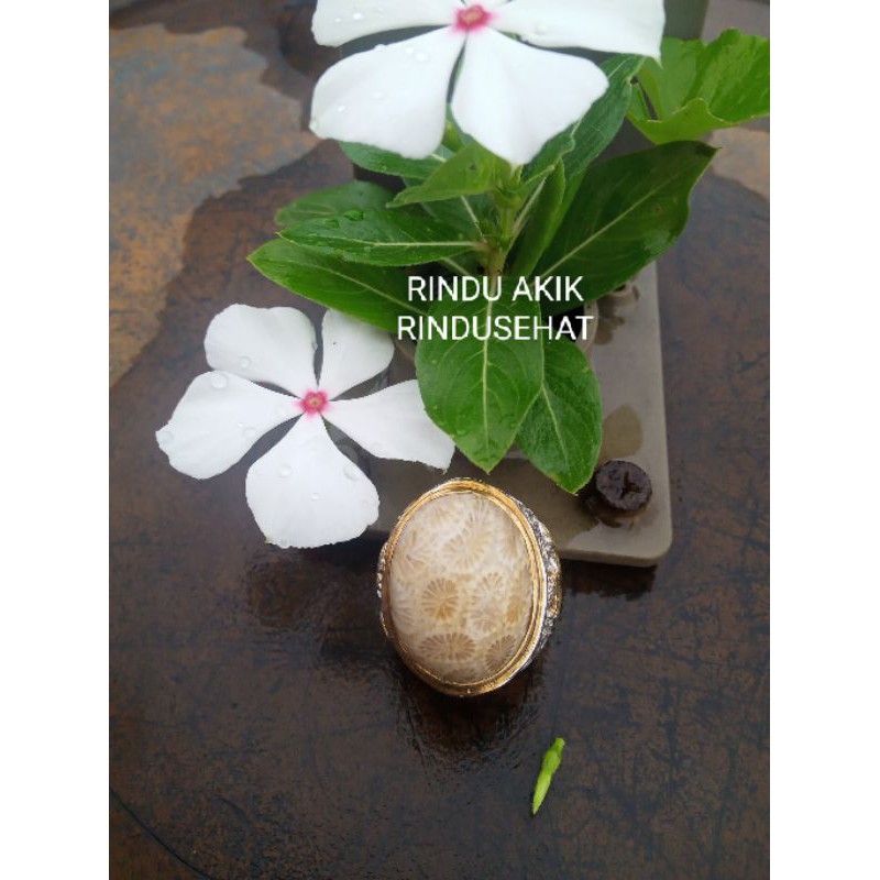 batu akik gambar teratai bunga teratai