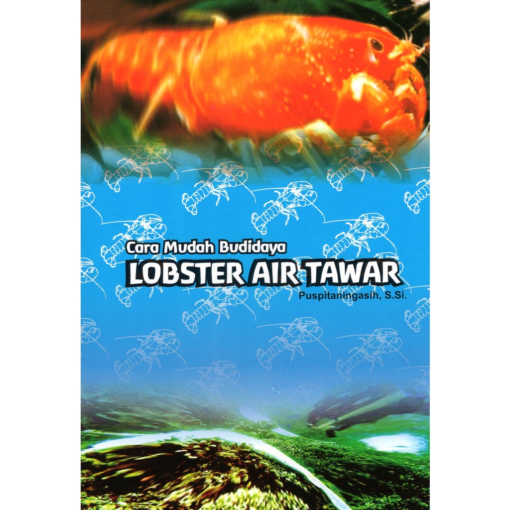 Cara Mudah Budidaya Lobster Air Tawar