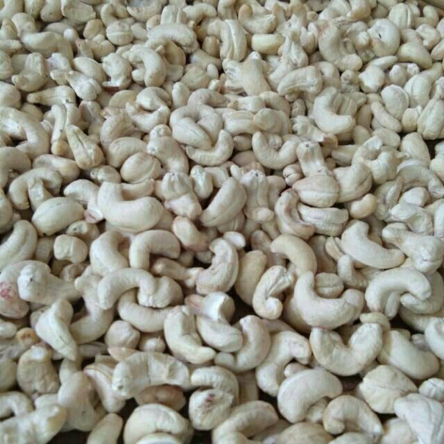 

Kacang Mete Mentah Fresh Asli Wonogiri