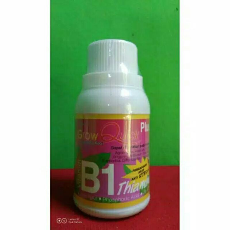B1 perangsang akar/vitamin tumbuhan