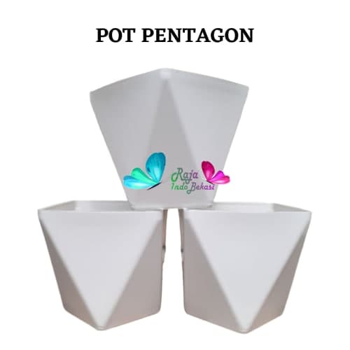 Pot Pentagon 20 Putih Pot Tabitha Diamond 20 25 Putih Pot Bunga Tanaman Tinggi Pot Diamond Tabitha Putih Pink 20 25 30 35 Murah Grosir