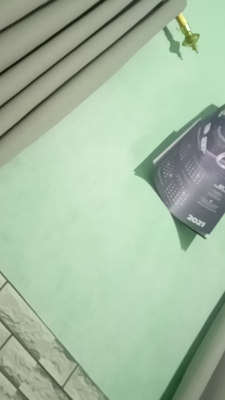 Kuas Rol Taiyo Biru 9 Inch