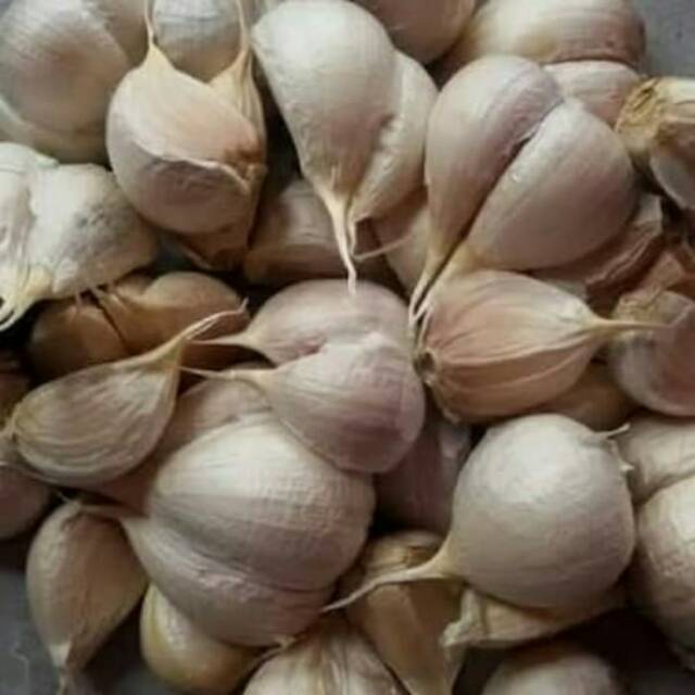 

Bawang putih kating super