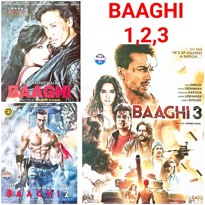 Baaghi 2 Sub Indo