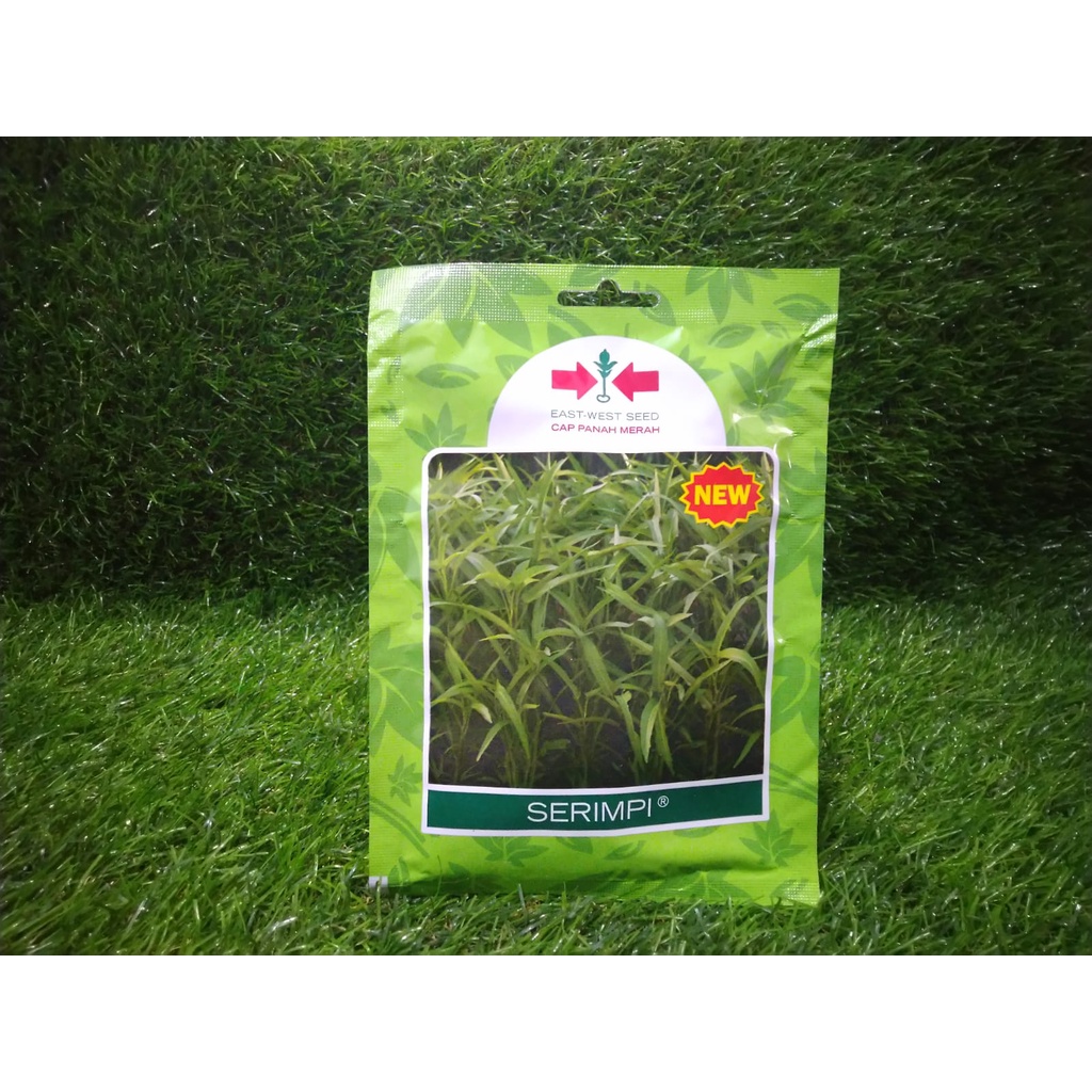 Serimpi isi 1.500 butir cap Panah Merah/Benih Kangkung bibit Unggul/benih kangkung darat/benih kangk
