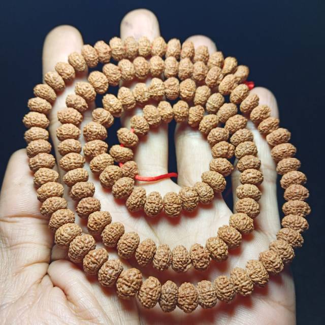Rudraksha jenitri genitri mukhi 9