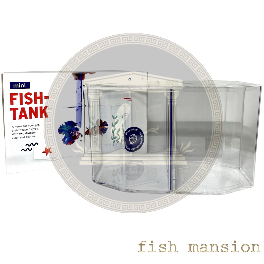 PRESISI aquarium soliter cupang sekat 2 betta fish tank akrilik