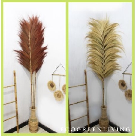 Rayung Stick / Bunga Kering / Dried flower / Bunga Hias / Natural Leaf Rayung Stick (Bundling isi 2)