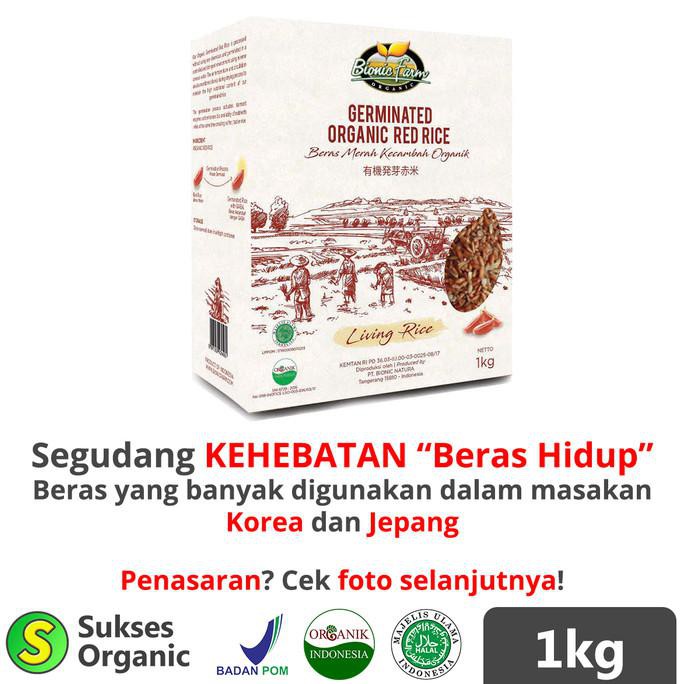 

Ready Stok Organic Germinated Red Rice | 1kg | Bionic Farm | Beras Berkecambah Terlaris