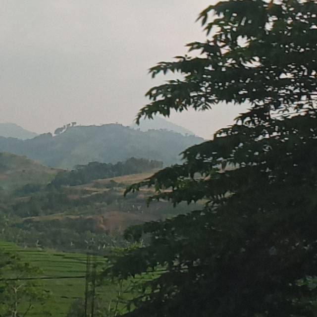 pangerandul