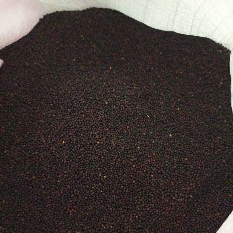 BIJI SAWI 1KG BIJI SAWI PAKAN BURUNG