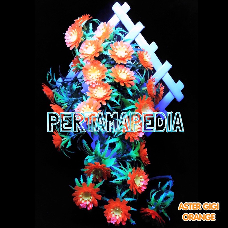 C5 Bunga Aster Gigi/Bunga Plastik/Daun Plastik/Rumput Plastik/Daun Rambat Plastik/Bunga Dekorasi-Orange