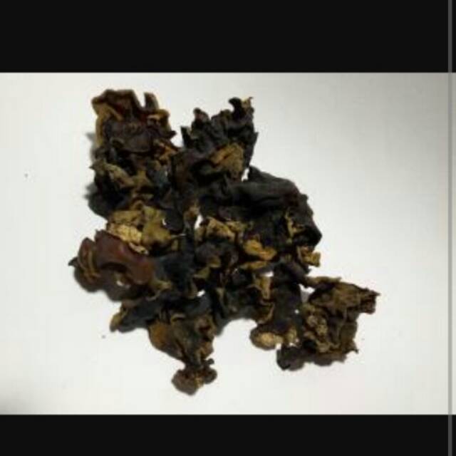 

JAMUR KUPING SUPER 50 GRAM