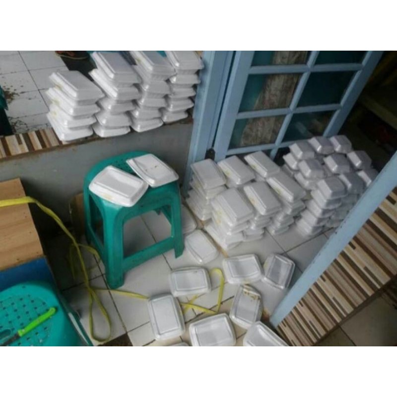 Cacing laut / cacing naga isi 15 ekor